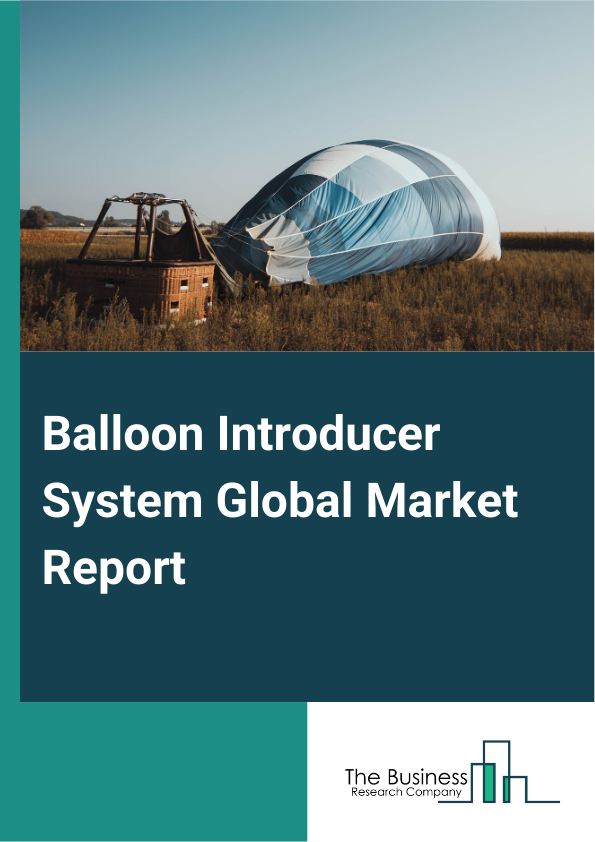 Global Balloon Introducer System Market Report 2025