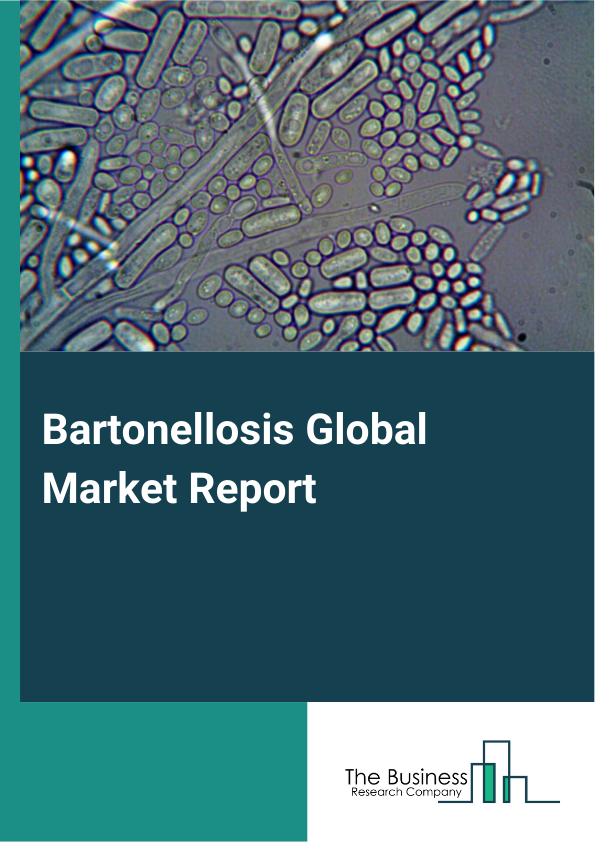 Global Bartonellosis Market Report 2025