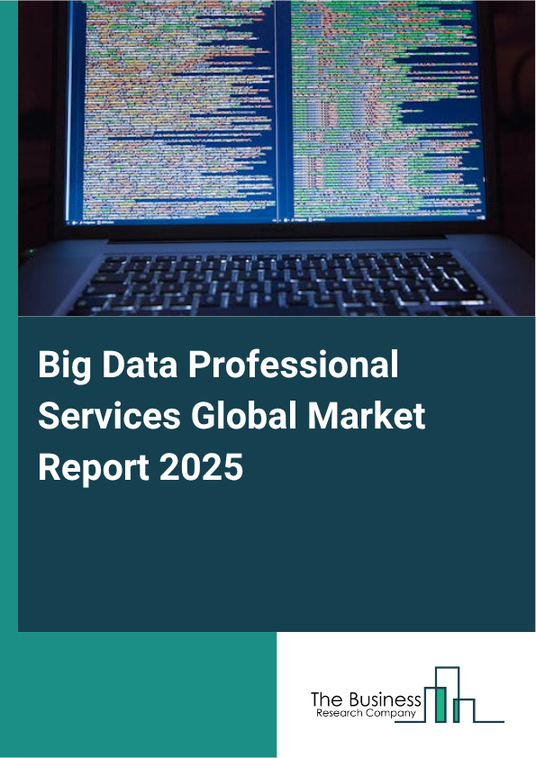 Global Big Data Professional Services Market Report 2025