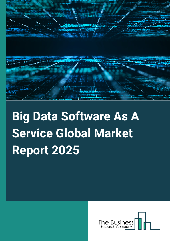 Global Big Data Software As A Service Market Report 2025