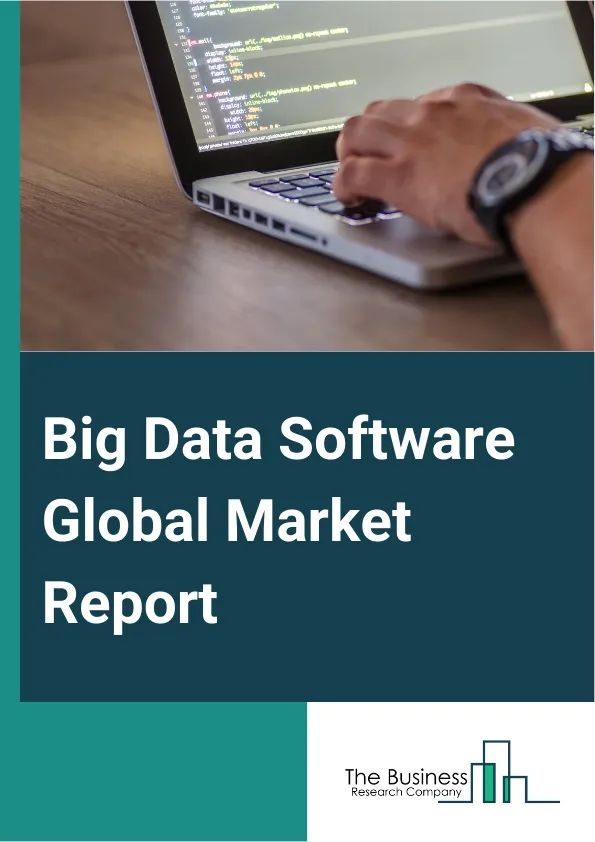 Global Big Data Software Market Report 2025