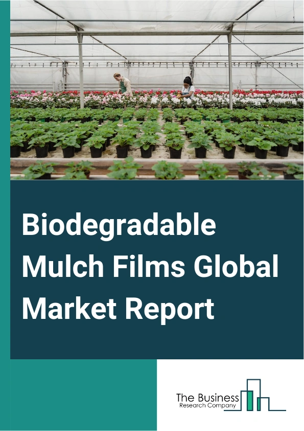Biodegradable Mulch Films Global Market Report 2025 – By Biodegradable Plastic (Thermoplastic Starch (TPS), Aliphatic-Aromatic Copolyesters (AAC), Controlled Degradation Masterbatches), By Composition (Starch, Starch Blended With Polylactic Acid (PLA), Starch Blended With Polyhydroxyalkanoate (PHA)), By End-Use Industry (Horticulture, Agriculture) – Market Size, Trends, And Global Forecast 2025-2034