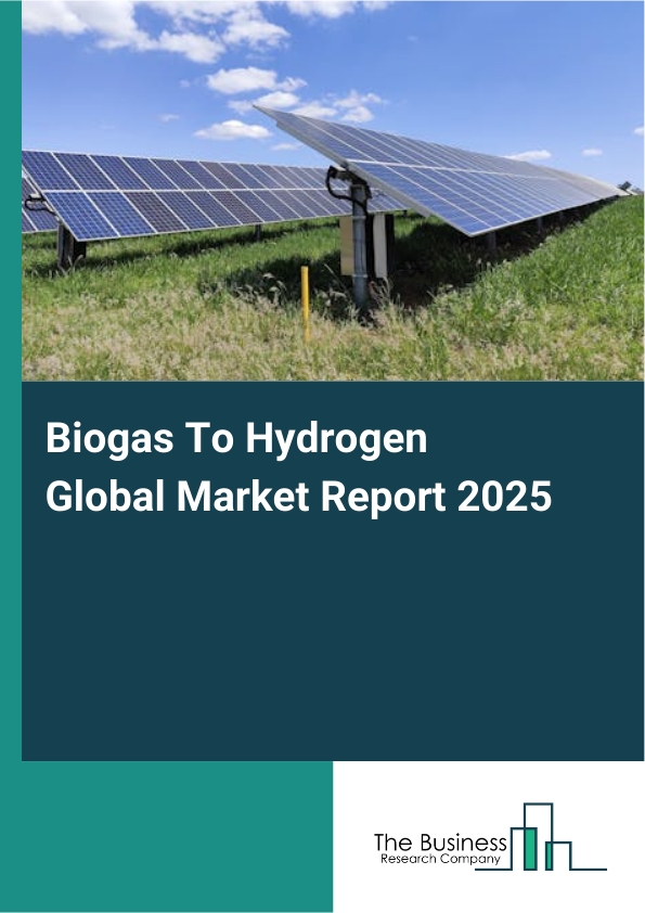 Global Biogas To Hydrogen Market Report 2025