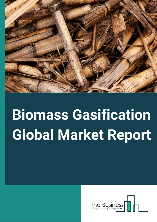 Biomass Gasification Global Market Report 2023 –  By Gasifier Type (Moving/Fixed Bed, Fluidized Bed, Entrained, Other Gasifier Types), By Source (Solid Biomass, Biogas, Municipal Waste, Liquid Biomass, Other Sources), By Application (Chemicals, Liquid Fuels, Power, Gas Fuels) – Market Size, Trends, And Global Forecast 2023-2032