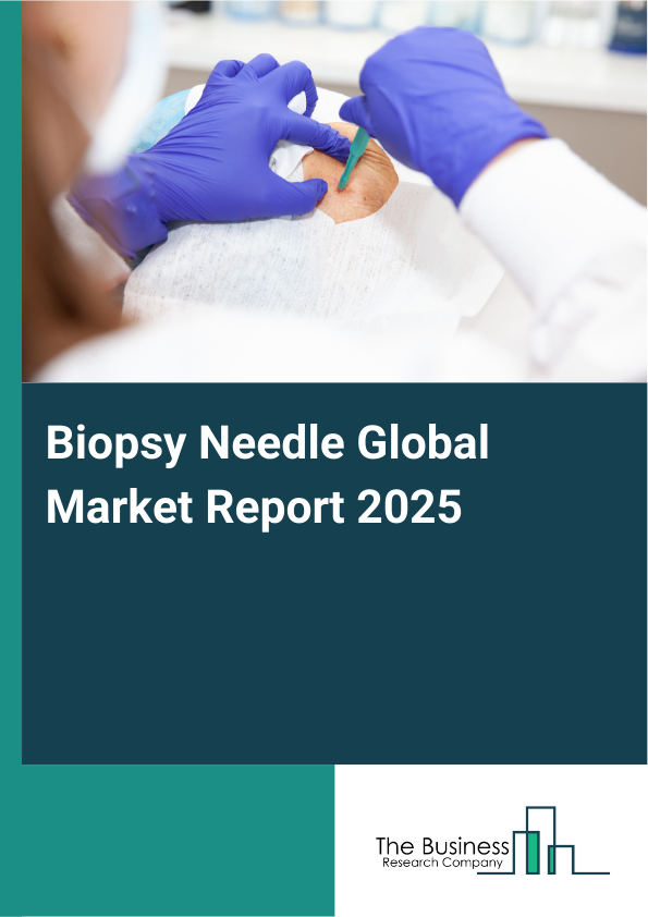 Global Biopsy Needle Market Report 2025