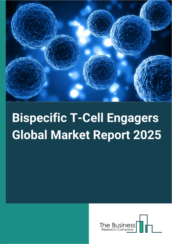 Bispecific T-Cell Engagers Market Global Report 2026 Market Report Infographic Image