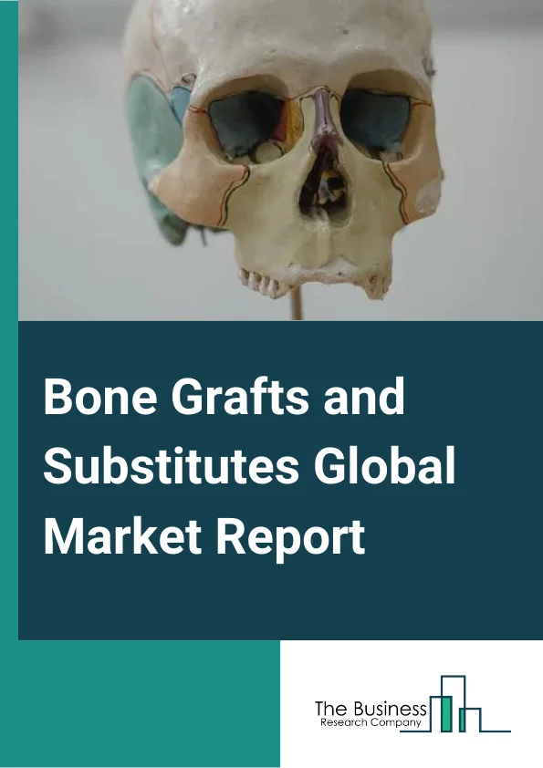 Bone Grafts and Substitutes Market Report 2023 