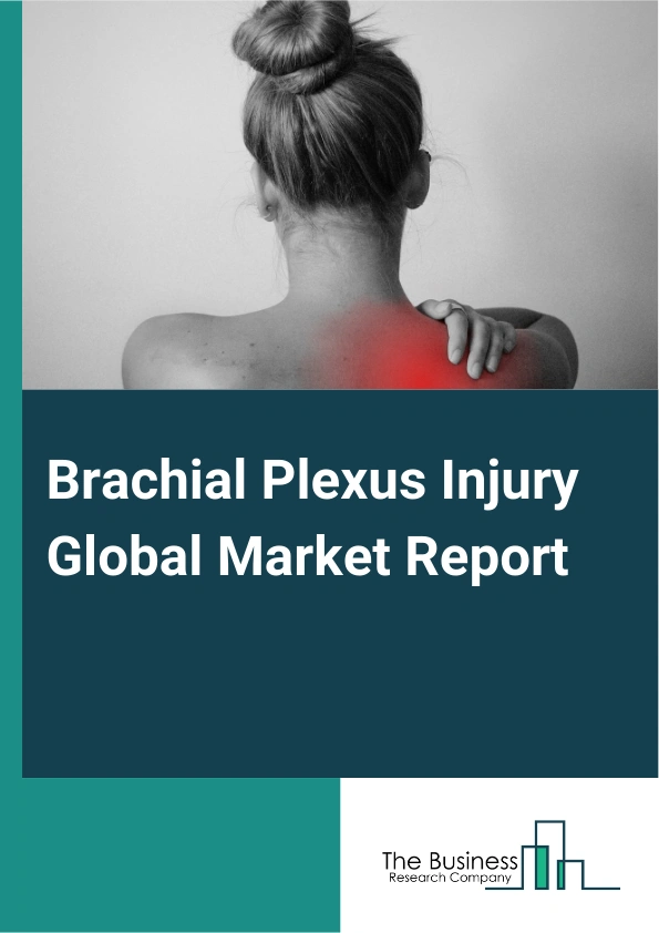 Global Brachial Plexus Injury Market Report 2025