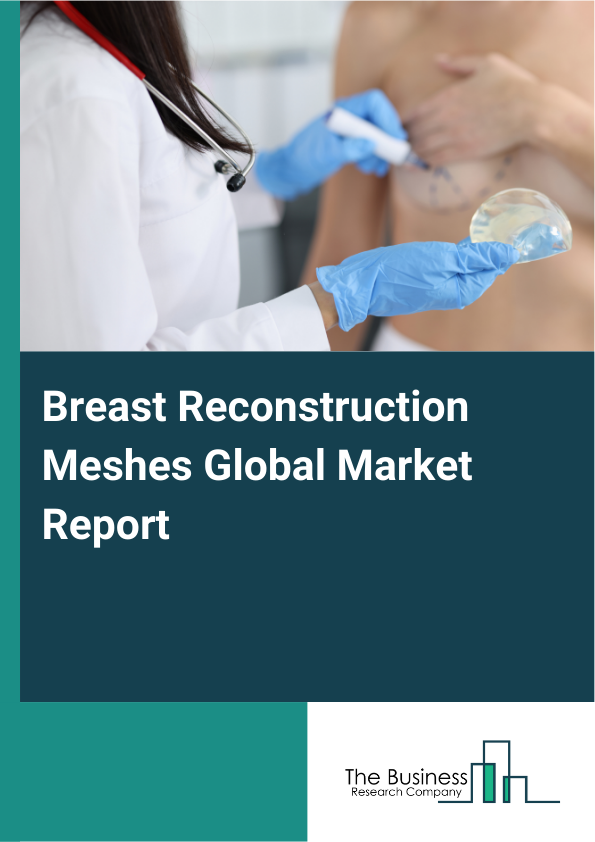 Global Breast Reconstruction Meshes Market Report 2025