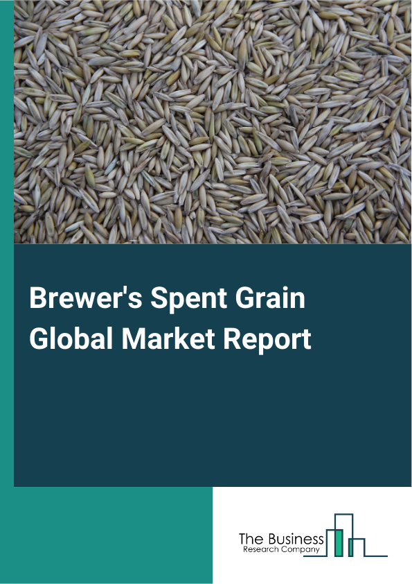 Global Brewer's Spent Grain Market Report 2025