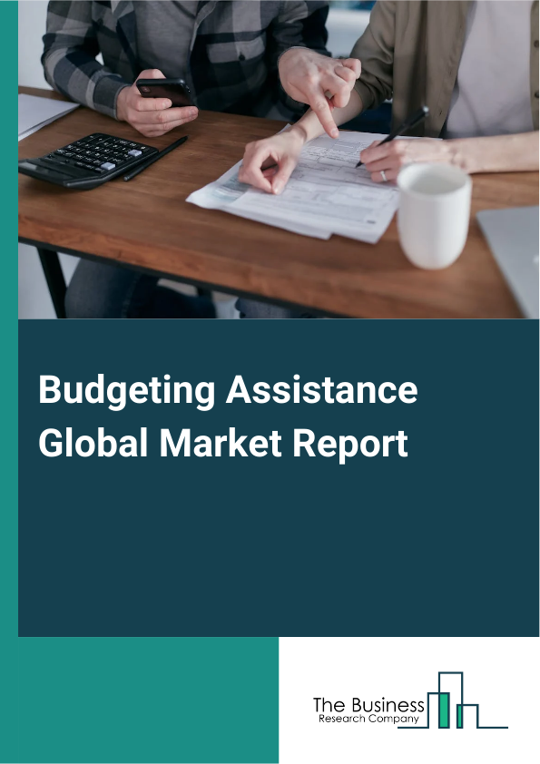 Global Budgeting Assistance Market Report 2025