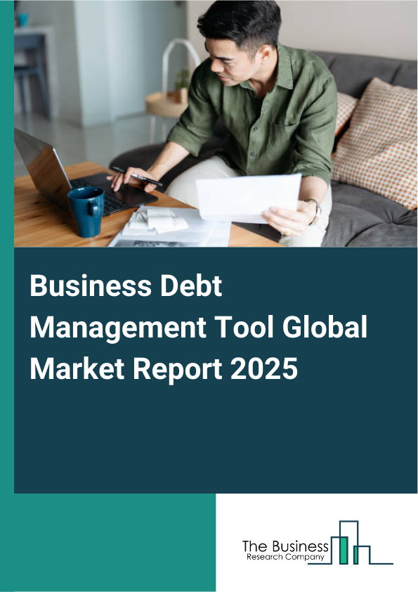 Global Business Debt Management Tool Market Report 2025