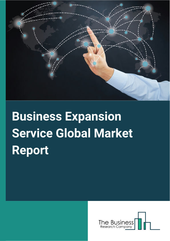 Global Business Expansion Service Market Report 2025 
