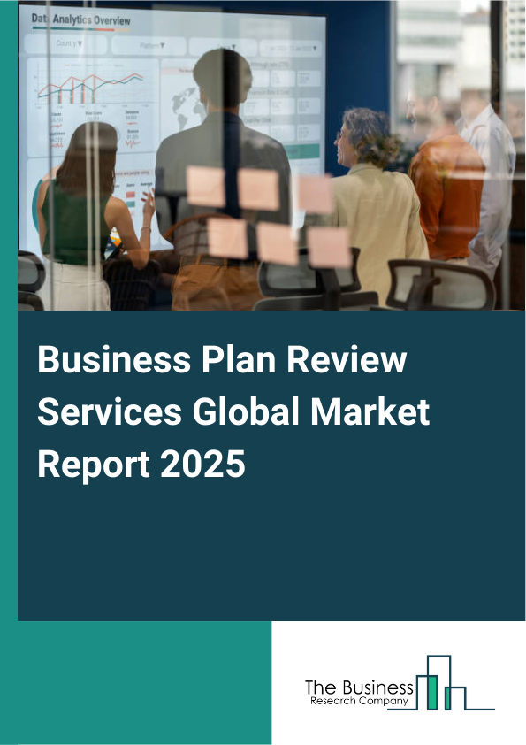 Global Business Plan Review Services Market Report 2025