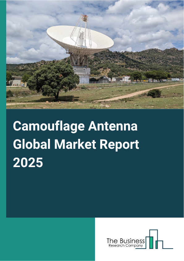 Global Camouflage Antenna Market Report 2025