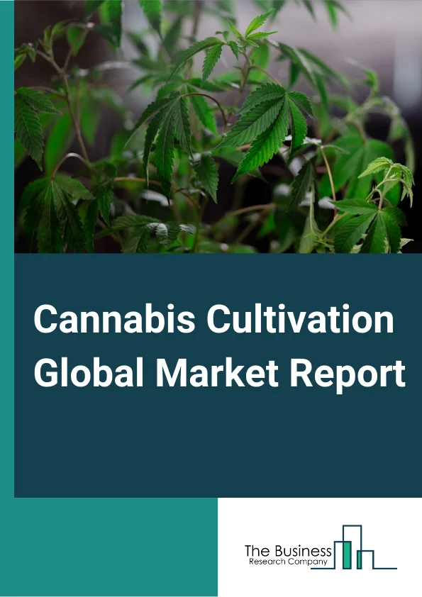Cannabis Cultivation Global Market Report 2024 – By Type (Cannabis Indica, Cannabis Sativa), By Source (Flower or Buds, Leaves, Other Sources), By Application Outlook  (Medical Consumption, Recreational Consumption, Industrial Consumption) – Market Size, Trends, And Global Forecast 2024-2033