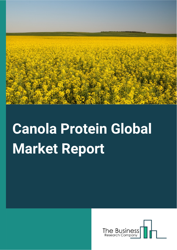 Global Canola Protein Market Report 2025