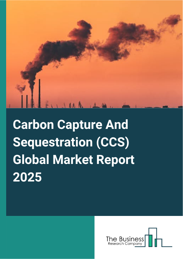 Carbon Capture And Sequestration (CCS) Market Report Infographic Image
