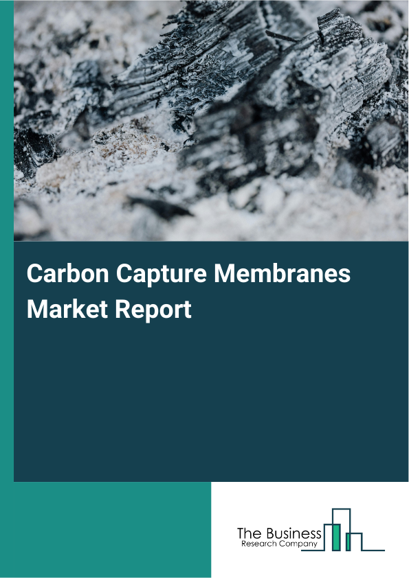 Carbon Capture Membranes Market Report Infographic Image