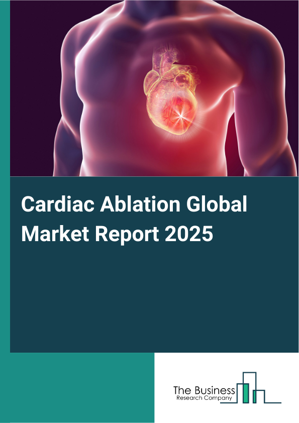Global Cardiac Ablation Market Report 2025