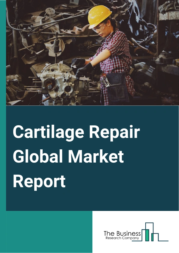 Cartilage Repair