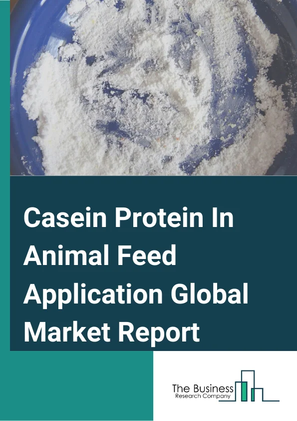 Casein Protein In Animal Feed Application