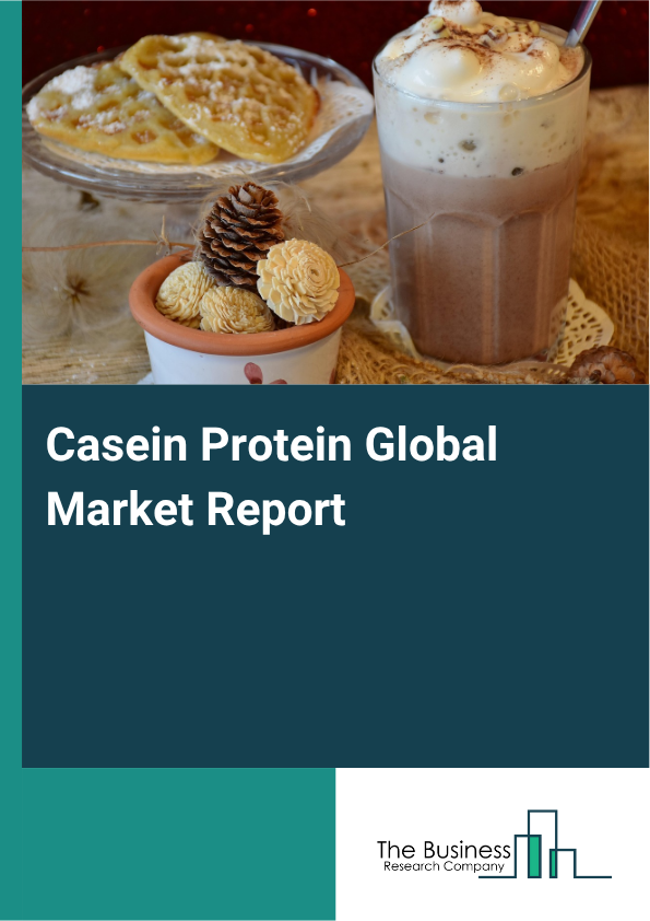 Global Casein Protein Market Report 2025