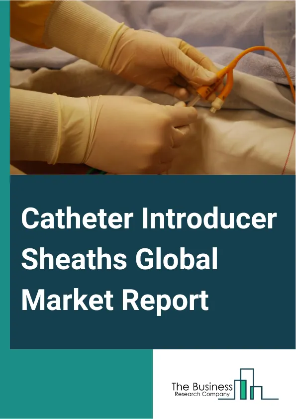 Catheter Introducer Sheaths Global Market Report 2025 – By Product Type (Integrated Introducer Sheaths, Separate Introducer Sheaths), By Application (Cardiology, Vascular, Neurology), By End-Use (Hospitals, Ambulatory Surgical Centers, Other End-Use) – Market Size, Trends, And Global Forecast 2025-2034