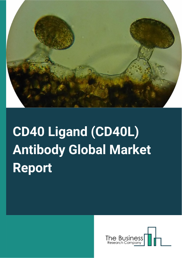 Global CD40 Ligand (CD40L) Antibody Market Report 2025