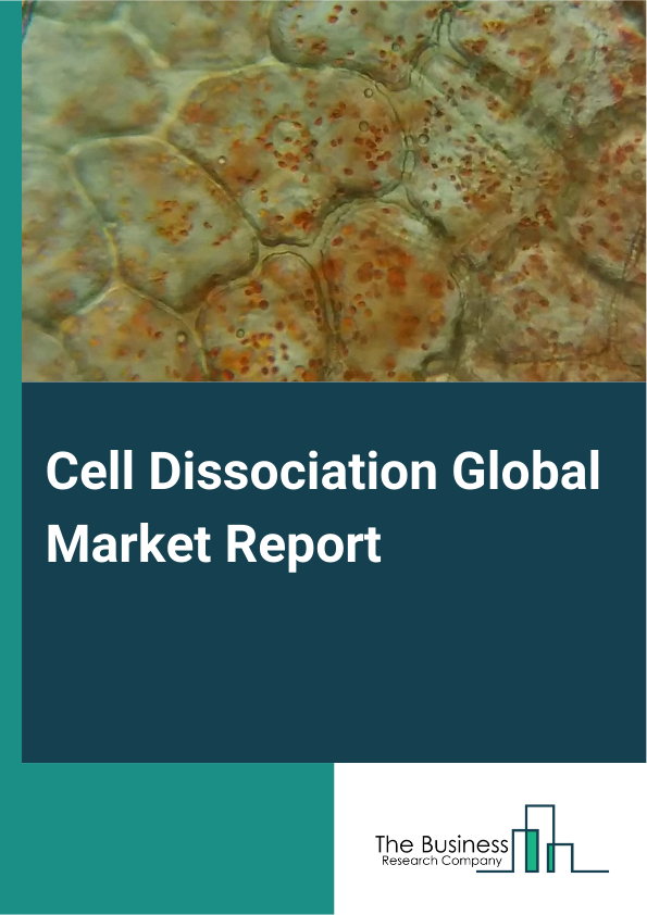 Global Cell Dissociation Market Report 2025