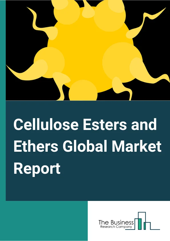 Cellulose Esters and Ethers Global Market Report 2025 – By Product (Cellulose Acetate, Cellulose Nitrate, Carboxymethyl Cellulose, Methyl Cellulose, Ethyl Cellulose, Hydroxyethyl Cellulose, Hydroxypropyl Cellulose), By Process (Kraft Process, Sulphite Process), By End User Industry (Food And Beverages, Oil And Gas, Paper And Board, Paints And Adhesive, Detergents, Other End Users) – Market Size, Trends, And Global Forecast 2025-2034