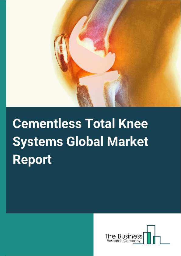 Global Cementless Total Knee Systems Market Report 2025