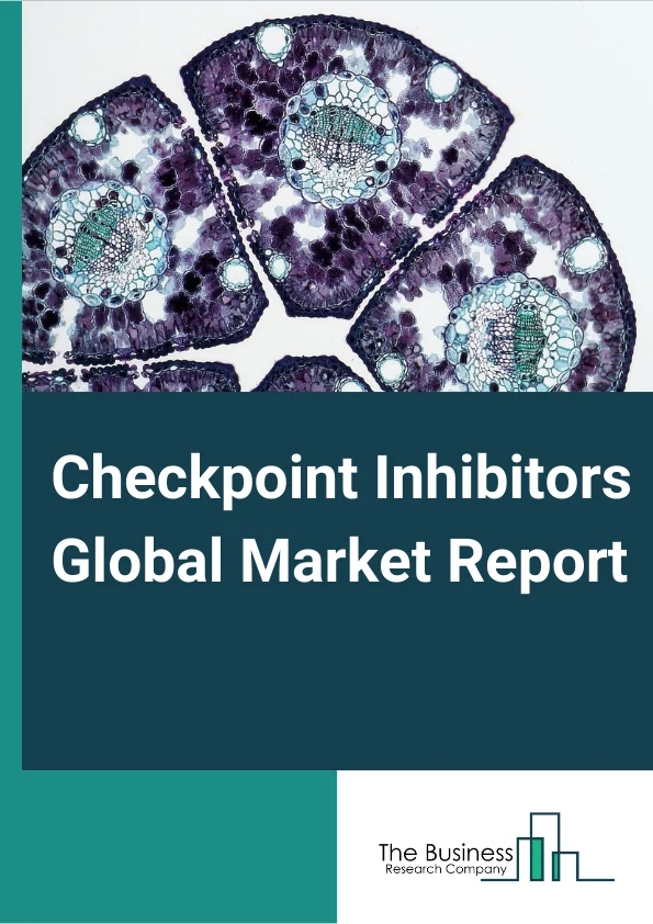 Checkpoint Inhibitors Global Market Report 2023 – By Drug (PD-1 Inhibitors, PD-L1 Inhibitors, CTLA-4, Chimeric Antigen Receptor T-cell, Other Drugs), By Application (Lung Cancer, Renal Cancer, Blood Cancer, Bladder Cancer, Melanoma, Other Applications), By End-Users (Hospitals Pharmacies, Retail Pharmacies, Online Pharmacies) – Market Size, Trends, And Market Forecast 2023-2032
