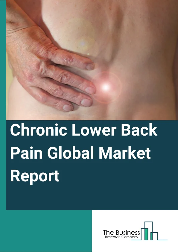 Chronic Lower Back Pain Global Market Report 2025 – By Type of Pain (Diskogenic Pain, Lumbar Spinal Stenosis, Sacroiliac Pain, Facet-Joint Pain, Radicular Pain, Muscular Pain, Other Types Of Pain), By Diagnosis (Clinical History, Physical Examination, Imaging Guidelines, Assessment of Pain), By End-User (Hospitals, Orthopedic Clinics, Ambulatory Surgery Centers, Other End-Users) – Market Size, Trends, And Global Forecast 2025-2034