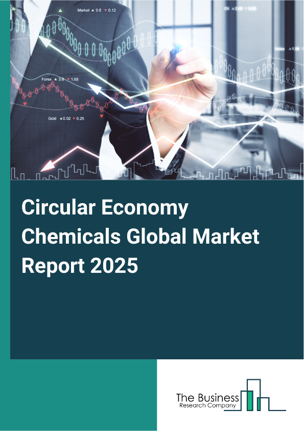 Global Circular Economy Chemicals Market Report 2025
