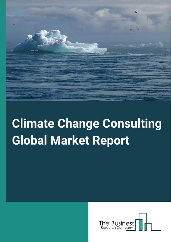 Global Climate Change Consulting Market Report 2025