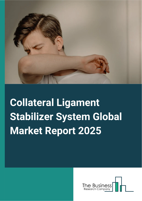 Global Collateral Ligament Stabilizer System Market Report 2025