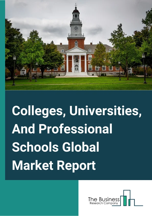 Colleges, Universities, And Professional Schools Global Market Report 2024 – By Type (Technical And Trade Schools, Junior Colleges, Higher Education Colleges And Universities, Business And Secretarial Schools, Computer Training, Professional And Management Development Training), By Type of Expenditure (Public, Private), By Mode (Online, Offline) – Market Size, Trends, And Global Forecast 2024-2033