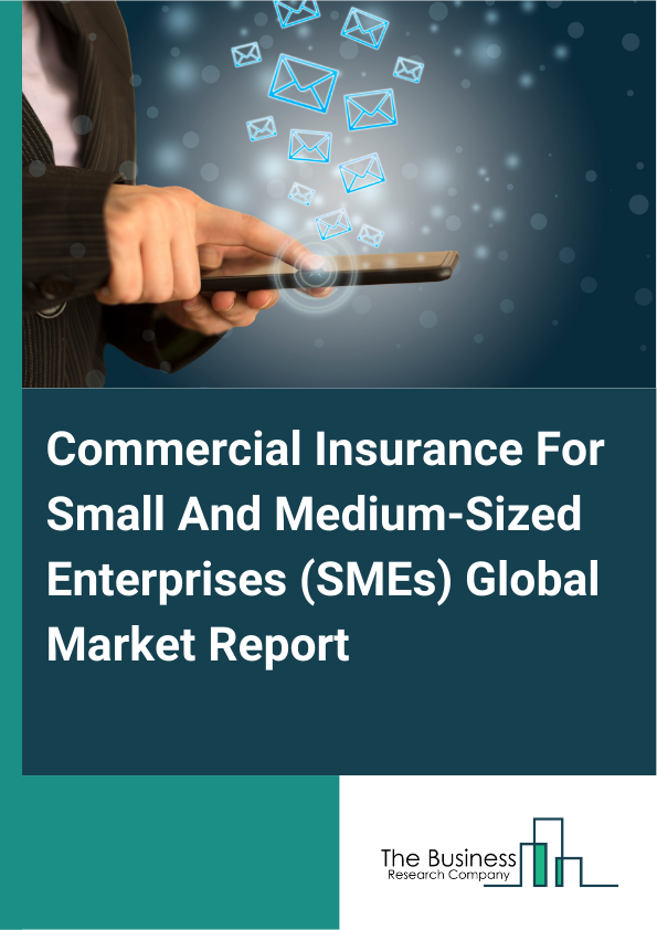 Global Commercial Insurance For Small And Medium-Sized Enterprises (SMEs) Market Report 2025