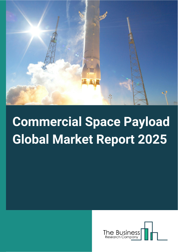 Global Commercial Space Payload Market Report 2025