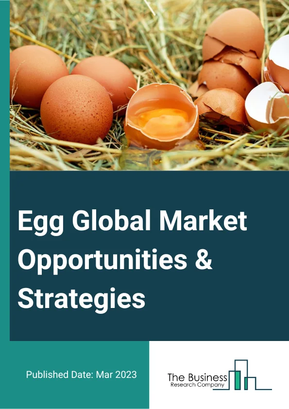 Egg Market 2023 – By Type (Hen, Other Birds), By End-Use Application (Food Processing Industry, Food Service Providers, Retail/Household), By Product Into (Conventional, Other Products), By Sales Channel (Online, Offline), And By Region, Opportunities And Strategies – Global Forecast To 2032