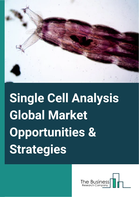 Single Cell Analysis Market 2023 – By Type (Consumable, Instruments, Services), By Application (Cancer, Immunology, Neurology, Stem Cell, Non-Invasive Prenatal Diagnosis, In-Vitro Fertilization, Other Applications), By End User (Academic And Research Laboratories, Biotechnology And Pharmaceutical Companies, Hospital, Diagnostic Laboratories, Other End Users), By Technique (Flow Cytometry, Next Generation Sequencing, Polymerase Chain Reaction (PCR), Microscopy, Mass Spectrometry, Other Techniques), By End User Workflow (Single-Cell Isolation, Library Preparation, Downstream Analysis, Data Analysis), And By Region, Opportunities And Strategies – Global Forecast To 2032
