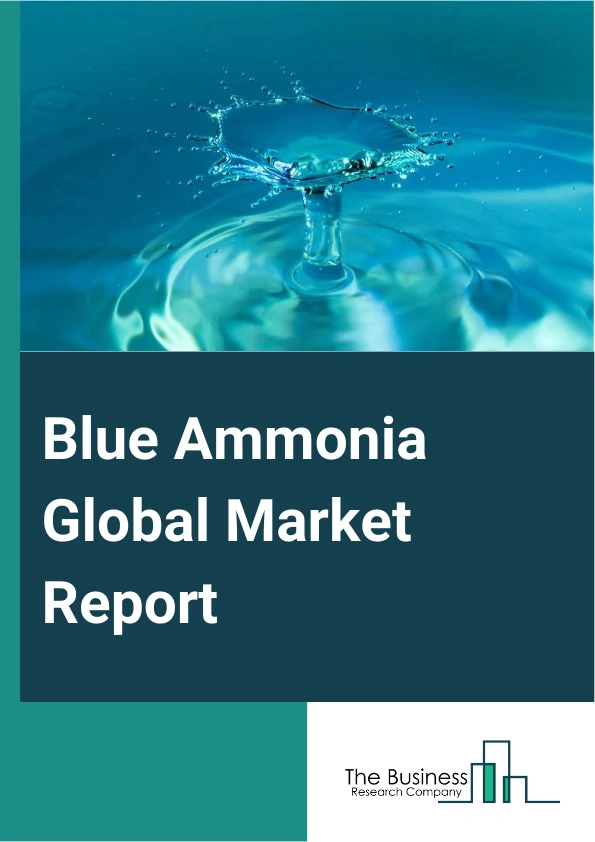 Blue Ammonia Global Market Report 2024 – By Technology (Steam Methane Reforming, Autothermal Reforming, Gas Partial Oxidation, Other Technologies), By Distribution Channel ( Distribution/Wholesalers, E-Commerce, Direct Sale), By Application (Power Generation, Industrial Feedstock, Agriculture, Pharmaceuticals, Transportation, Chemical And Petrochemicals, Other Applications) – Market Size, Trends, And Global Forecast 2024-2033