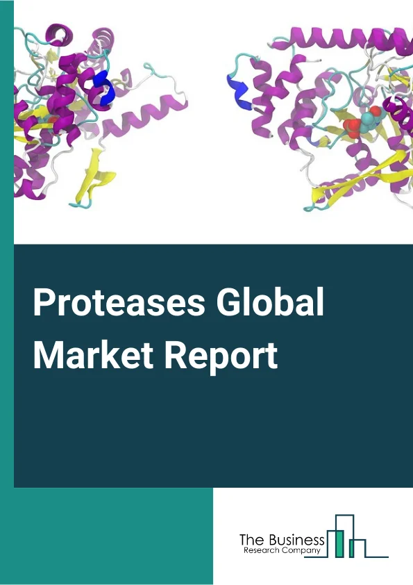 Proteases Global Market Report 2023 – By Source (Animal, Plant, Microbial), By Form (Liquid, Powder), By Application (Food And Beverage, Healthcare, Animal Feed, Other Applications) – Market Size, Trends, And Global Forecast 2023-2032