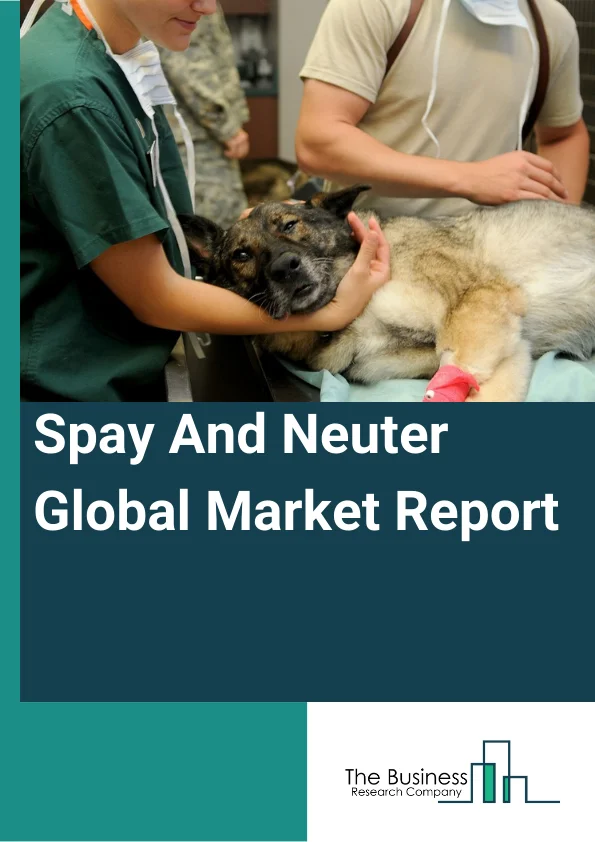 Spay And Neuter Global Market Report 2023 – By Animal Type (Dogs, Cats, Other Animals), By Provider Type (Veterinary Clinics And Hospitals, Other Providers), By End-User (Animal Welfare Groups, Pet Owners) – Market Size, Trends, And Global Forecast 2023-2032