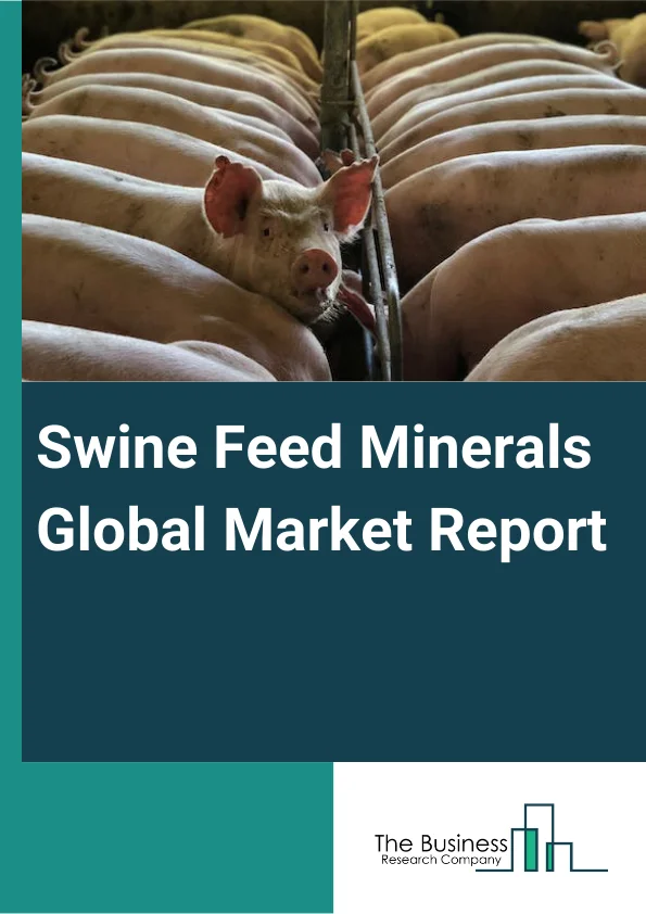 Swine Feed Minerals Global Market Report 2023 – By Product (Starter Feed or Grower Feed, Sow Feed, Pig Grower Feed, Other Products), By Ingredients (Cereal, Oilseed Meal, Oil, Molasses, Other Ingredients), By Additives (Antibiotics, Vitamins, Antioxidants, Amino Acids, Feed Enzymes, Feed Acidifiers, Other Additives) – Market Size, Trends, And Global Forecast 2023-2032