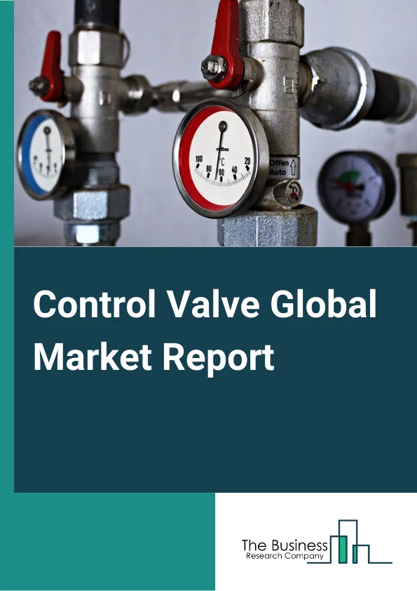Global Control Valve Market Report 2024