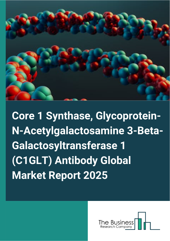 Global Core 1 Synthase, Glycoprotein_N_Acetylgalactosamine 3_Beta_Galactosyltransferase 1 (C1GLT) Antibody Market Report 2025