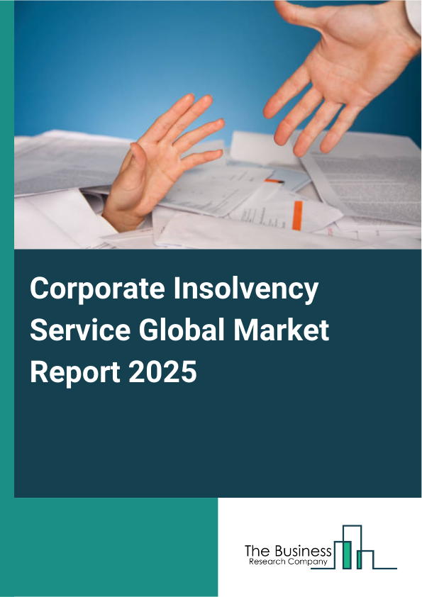 Global Corporate Insolvency Service Market Report 2025