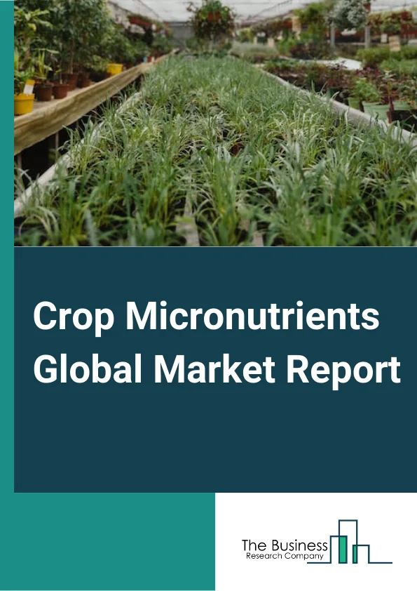Crop Micronutrients Global Market Report 2024 – By Type (Zinc, Boron, Iron, Manganese, Molybdenum, Copper, Other Types), By Crop Type (Cereals & Grains, Fruits & Vegetables, Oilseeds & Pulses, Other Crops), By Application (Fertigation, Soil, Foliar, Other Applications) – Market Size, Trends, And Global Forecast 2024-2033